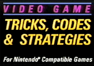 The title screen.  For Nintendo-Compatible games.