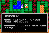 The intense Dragon Warrior 2 experience.