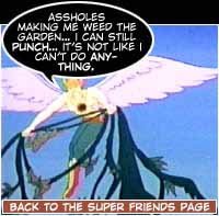 Back to the Super Friends Page